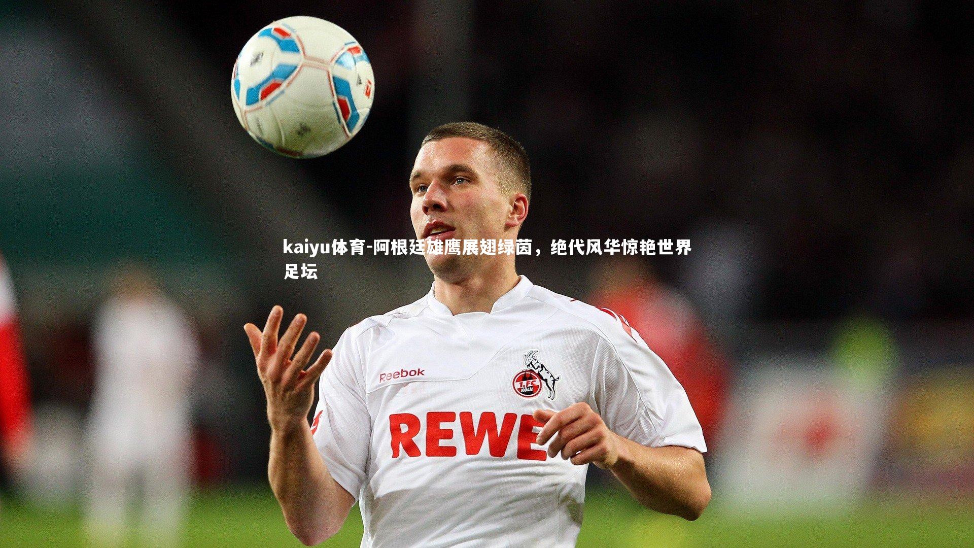 kaiyu体育-阿根廷雄鹰展翅绿茵，绝代风华惊艳世界足坛
