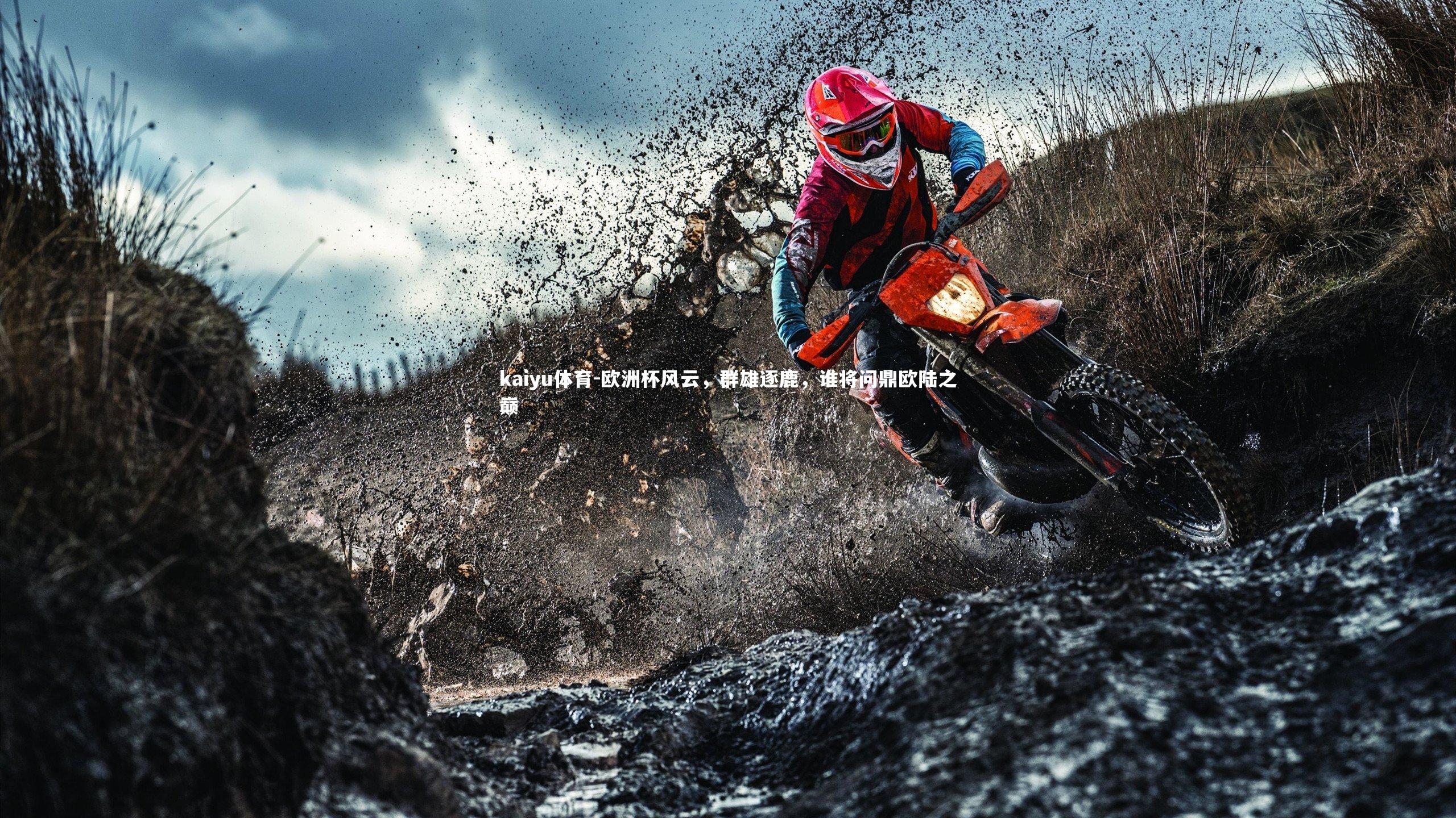 欧洲杯风云，群雄逐鹿，谁将问鼎欧陆之巅